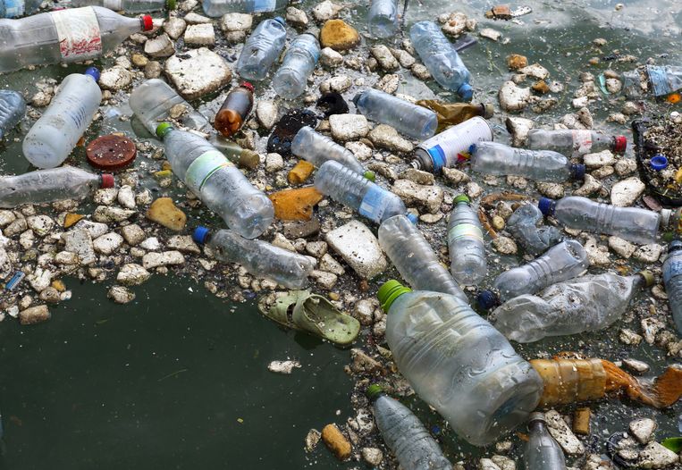 Kwaadaardige tumor been verontreiniging Tegen 2050 meer plastic dan vissen in de oceanen" | De Morgen