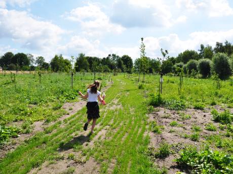 Groen licht: Voedselbos Den Hout komt tussen Vrachelsestraat en sportpark Contreie