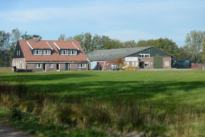 Windmolenopslag in het voormalige Twentevis in Azelo.