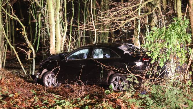 Auto uit bocht gevlogen bij afrit A59 naar Engelen