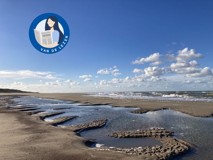 Bijzondere vormen op het strand bij Vrouwenpolder.