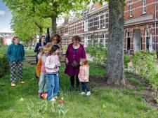 De rechtvaardigste straat van Nederland ligt in Den Bosch: ‘Een heerlijk groen woonerf na jarenlange acties’