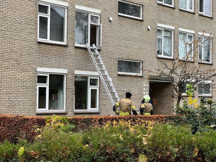Hennepplantage aangetroffen aan de Achterberggaarde in Deventer