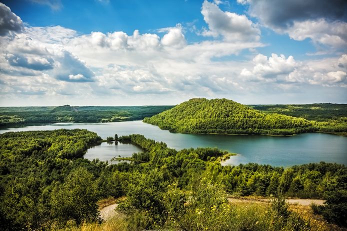 Zes van de tien kandidaten voor erkenning als Nationaal Park Vlaanderen blijven in de running waaronder het bestaande Nationaal Park Hoge Kempen.