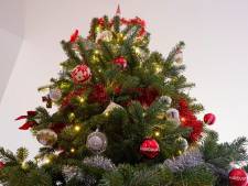 Heb jij de mooiste kerstboom van Apeldoorn? Stuur ons een foto