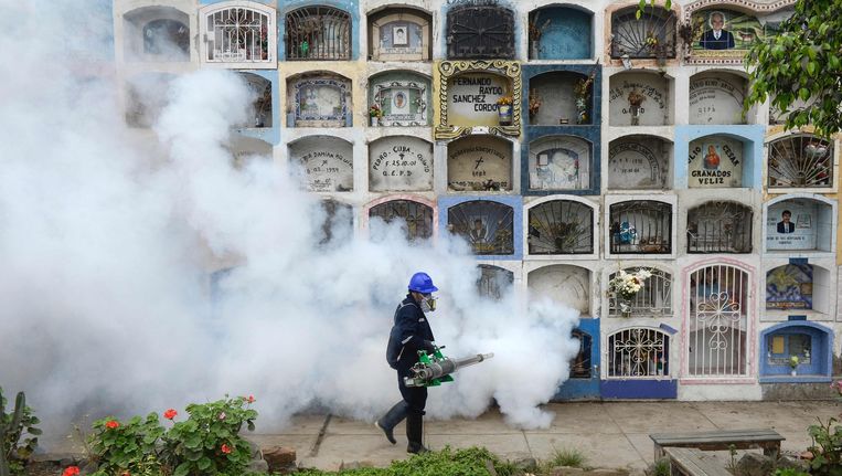 Een medewerker van de milieudienst in Lima sprayt een bestrijdingsmiddel tegen muggen om verspreiding van het zikavirus tegen te gaan. Beeld afp