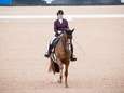 Goud voor Voets in dressuur, Hosmar grijpt brons