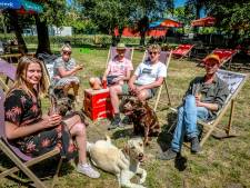 Hondenkoer, de enige zomerbar waar de hond evenveel voordelen krijgt als het baasje