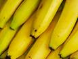 Twee mannen uit Etten-Leur en Hoogerheide waren betrokken bij de smokkel van tientallen kilo cocaïne tussen een lading bananen uit Ecuador.
