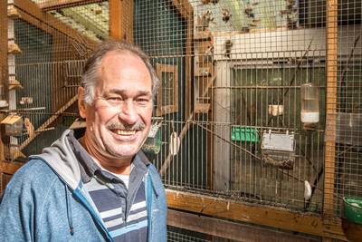 Vogelvreugd Beckum wil de vleugels uitslaan: ‘Zonder fusie geen overlevingskans’
