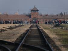 Dordrecht krijgt geen tijdelijk holocaustmonument