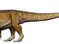 Fossiel van "eerste reuzendinosaurus" ontdekt in Argentinië