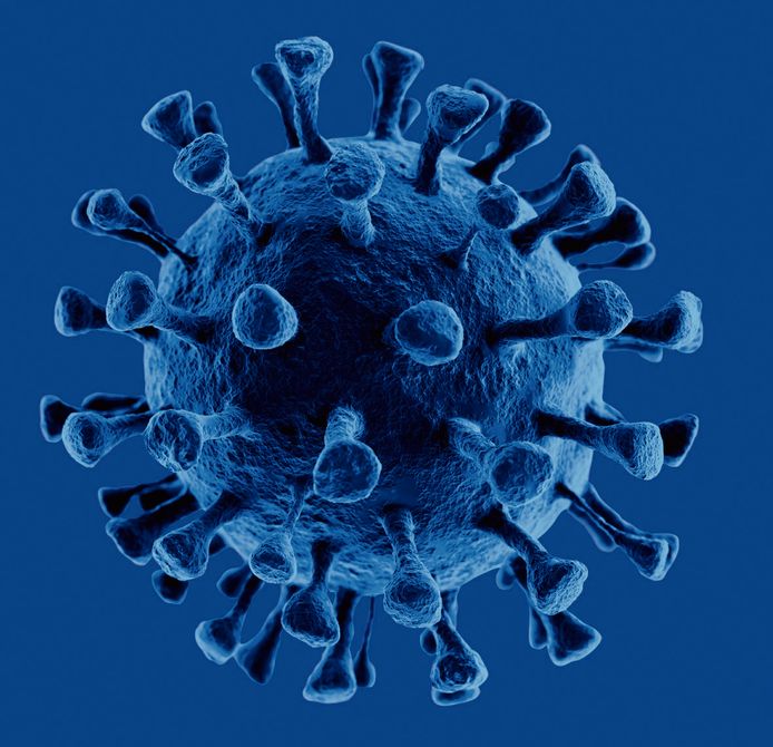 Coronavirus, cellen.