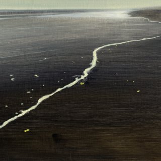 Christiaan Kuitwaard's paintings are not about what you see, but how you look at it