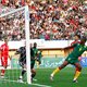 Groene adelaars, oranje olifanten en eekhoorns