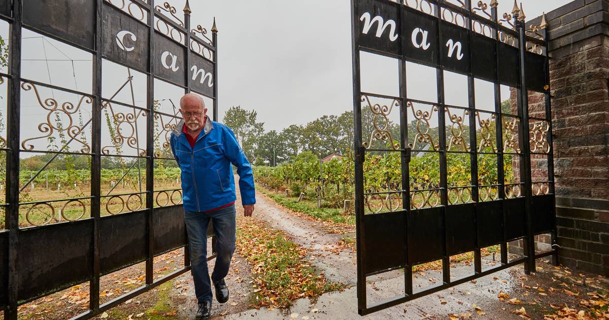 Wijnboer Jan Koier helemaal klaar met Berkelland: 'Misschien moet Avest zich maar afscheiden' - De G