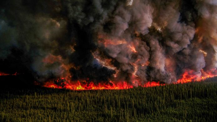 De Donnie Creek Complex-natuurbrand in Fort Nelson, British Columbia, Canada. Beeld van 4 juni.