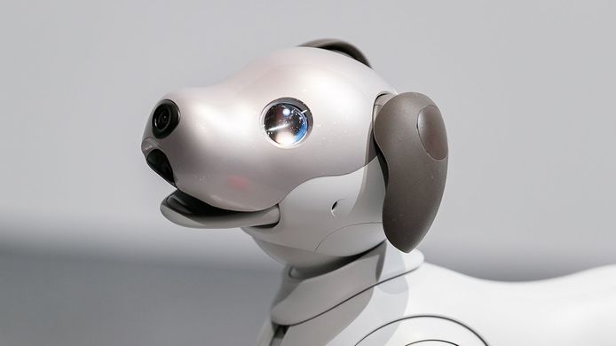 Sony bracht, na meer dan anderhalf decennium, een nieuwe versie van zijn Aibo-robothond op de markt.