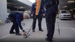 Politie vangt achtergelaten hond op: "Ook da's politiewerk"