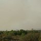 Grote brand in Hoge Venen legt 50 hectare natuurgebied in de as: ‘Getroffen gebied kan in omvang nog verdubbelen’