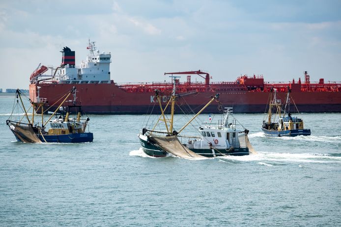 Garnalenvissers varen uit