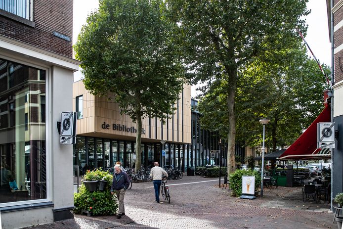 De plataan voor de entree van de bibliotheek is een van de bomen die moet wijken.