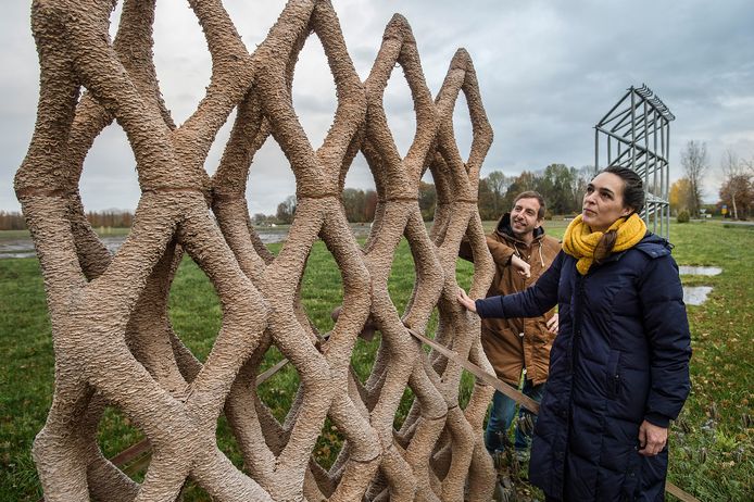 Erik Klarenbeek en Maartje Dros bij hun proefobject, een in 3d geprint rasterwek dat door mos overwoekerd moet worden. Zo kan fijnstof worden afgevangen. Foto Ron Magielse/Pix4Profs