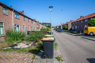 Vertraging Wilgenland wegens vraagtekens duurzaamheid