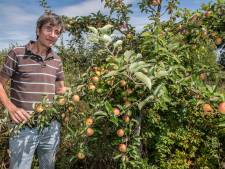 Eerste planten in Schijndel de grond in voor grootste voedselbos van Europa