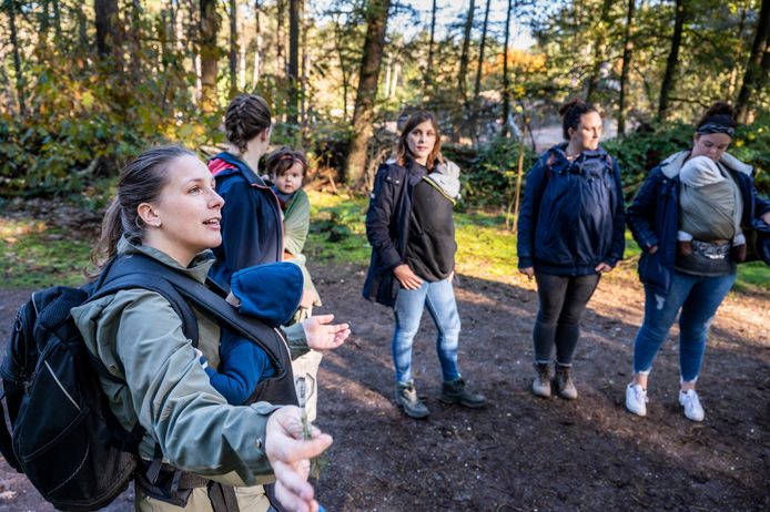 Een wandeling door Herperduin voor baby's in draagzakken: klein stukje lopen, dan weer een beetje uitleg. Links op de voorgrond IVN-gids Inge Reijnen, met baby Kian.