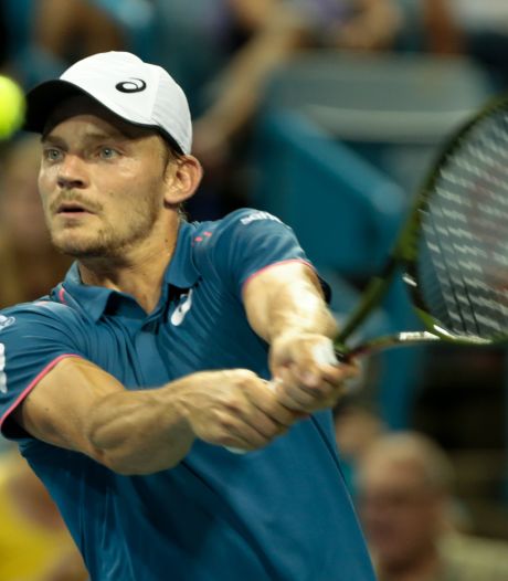 Goffin terrasse Del Potro et défiera Federer en demi