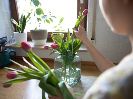 Een drupje bleek en minder groen: met deze tips blijft je bos bloemen langer mooi