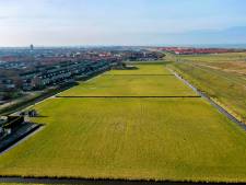 Verzet tegen woningbouw in duinvallei Watergat neemt flink toe: ‘Geef het terug aan de natuur’