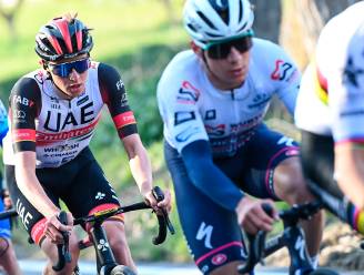 Wat Pogacar klaarspeelde in de Ronde van Vlaanderen, moet Remco Evenepoel ook kunnen: “Hij heeft de kwaliteiten, maar het is nog niet voor meteen”