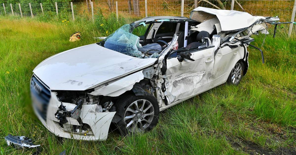 Automobilist (35) overleden na botsing met vrachtwagen die op vluchtstrook van A67 stond