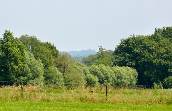 Zicht op kasteel Bad Bentheim tijdens de wandeling