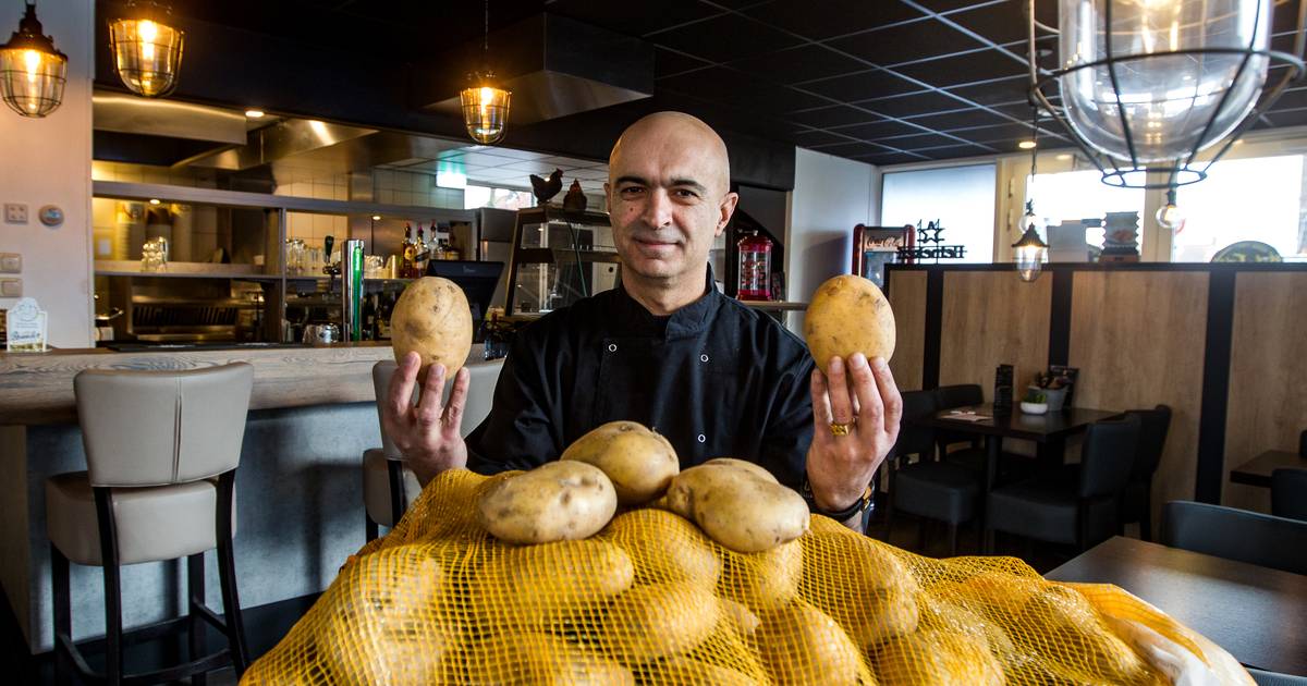 Holy Fries & Chicken bakt nu legaal friet op de Zandweerd in Deventer