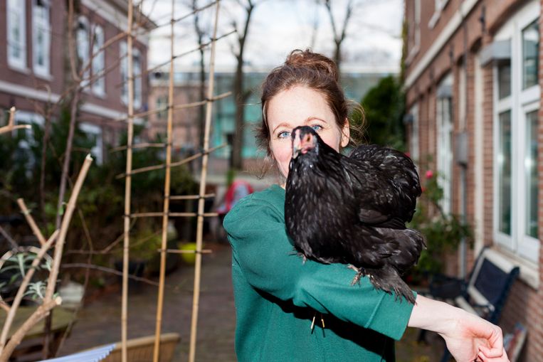 Kippen Houden In De Stad Op Het Dakterras Dat Kan Prima Het Parool