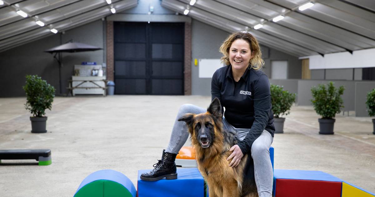 Hond & Jij Hondengedragscentrum gaat officieel van start in Neerkant