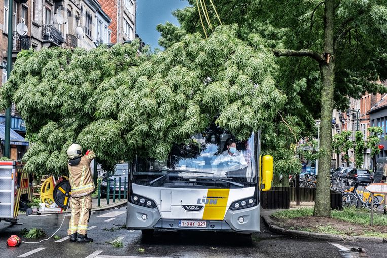 Door het hevige noodweer brak een tak net toen een bus van De Lijn passeerde op de Emile Bockstaellaan in Laken. Beeld Tim Dirven