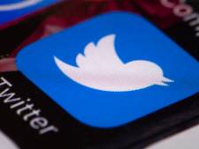 Nieuwe meldknop Twitter moet desinformatie tijdens EU-verkiezingen tegengaan