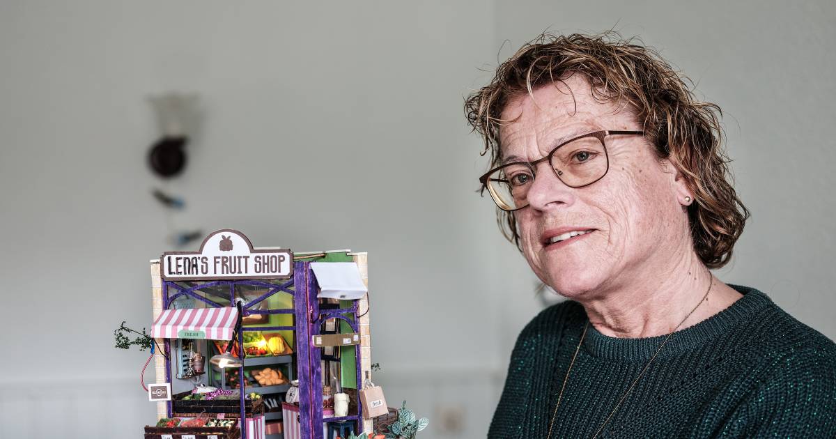 Optimaal minimum favoriete Lenie (67) leeft zich uit met 'knutselen voor volwassenen': winkeltje met  kassa en piepklein opschrijfboekje | Zevenaar | gelderlander.nl