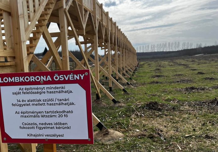 La foresta intorno al nuovo "Cammino tra gli alberi" È stato completamente demolito.