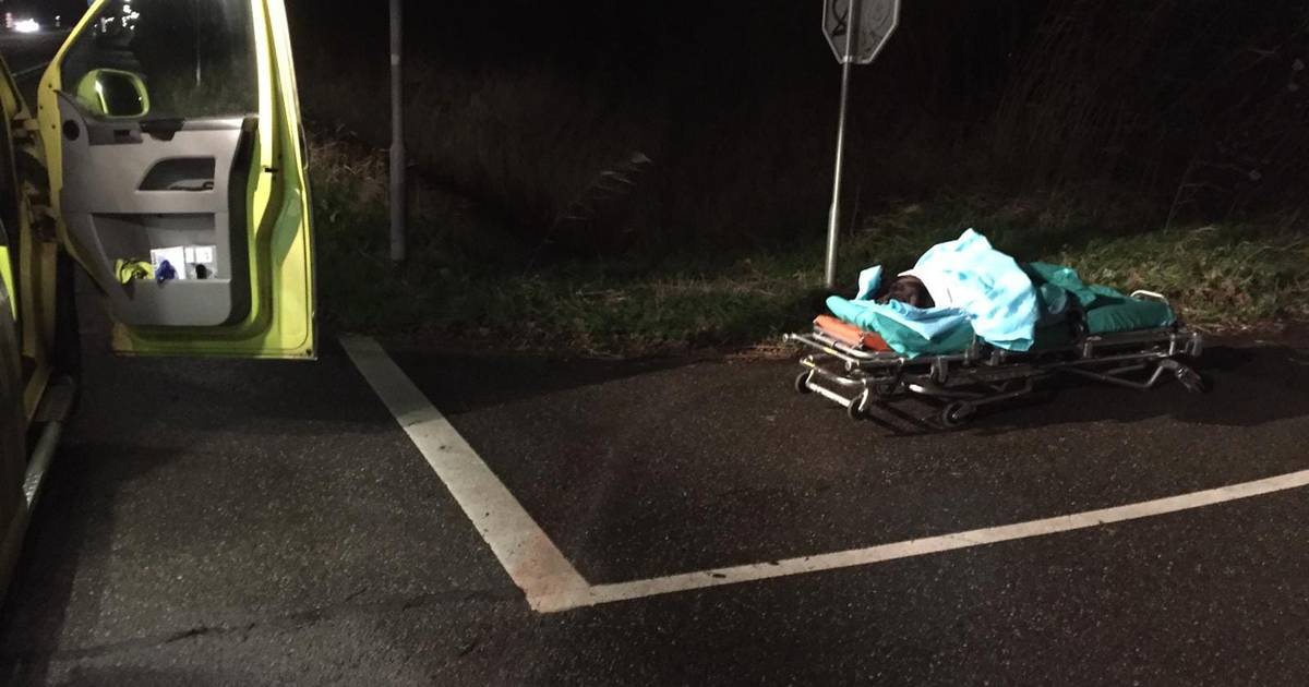 Hond overleeft aanrijding op A59 bij Den Bosch niet, dierenambulance zoekt baasje.