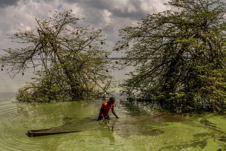Deze foto van Frederic Noy won dit jaar de derde prijs bij de World Press Photo in de categorie hedendaagse kwesties. Een visser zonder vergunning haalt zijn kano onder water vandaan om op het Victoriameer op te gaan om te vissen. Beeld Frederic Noy, Panos Pictures, World Press Photo via AP
