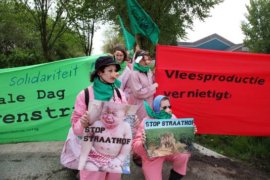 Op 17 april 2009 werd in Erichem actie gevoerd tegen uitbreiding van varkensstal De Knorhof. De actiegroep Stop Straathof legde een groentetuin aan op de locatie waar een nieuwe varkensstal was gepland. Ook werd er actie gevoerd in Oost-Duitsland waar dezelfde eigenaar ook een mega-varkensstal wil bouwen.