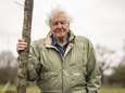 3.000 pond per minuut en dat voor slechts vier tv-shows: David Attenborough verdiende vorig jaar rijkelijk zijn boterham