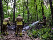 Brandweer blust brand in Tilburgs bos