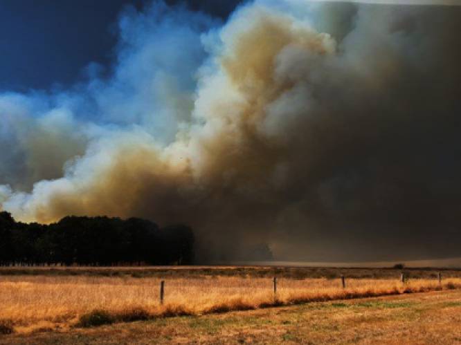 Twee Nederlandse campings ontruimd door grote natuurbrand