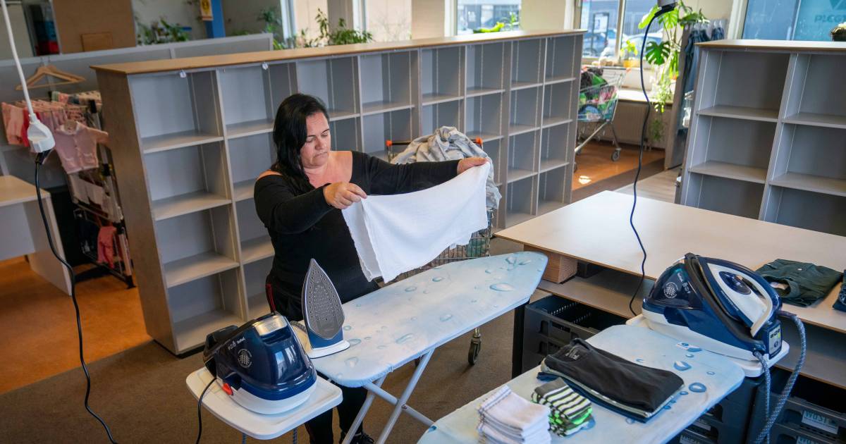 dit bedrijf wil voor iedereen in lingewaard de was doen klanten hebben er geen omkijken naar lingewaard gelderlander nl